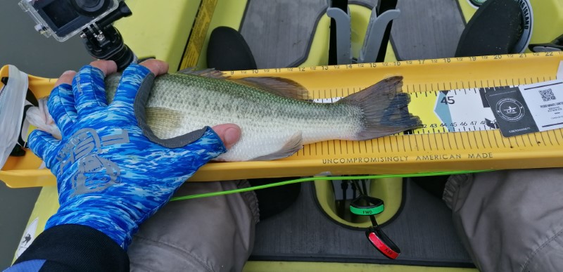 Fish Measure Picture
