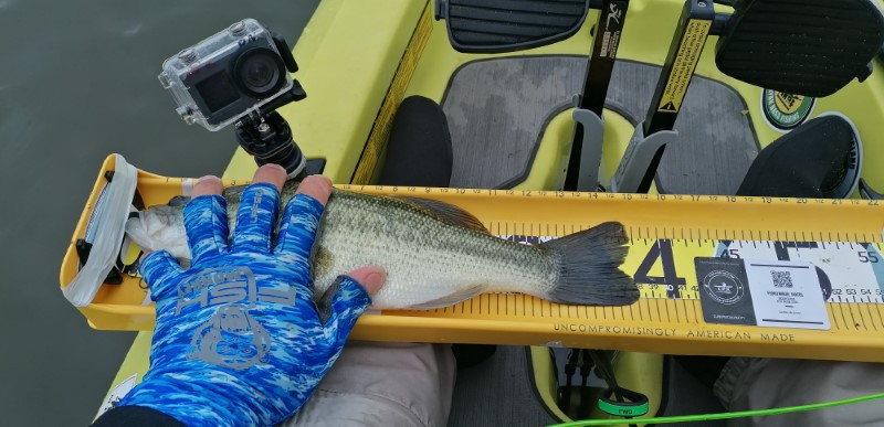 Fish Measure Picture