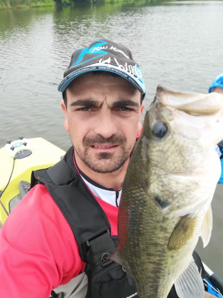 Fish Profile Picture