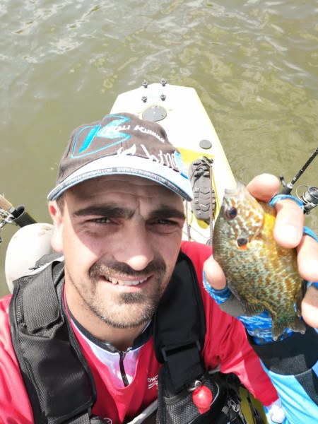 Fish Profile Picture