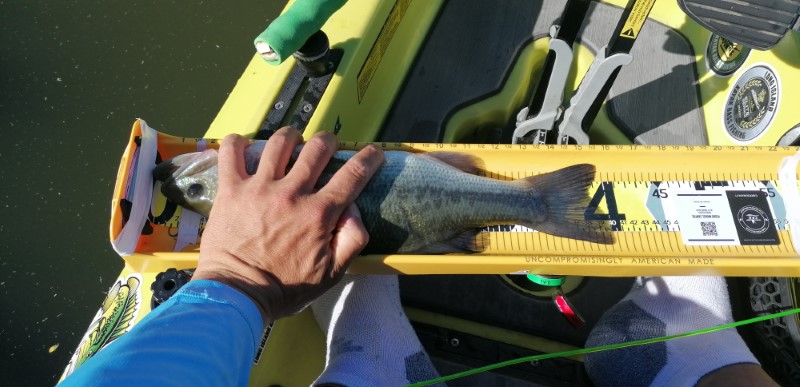 Fish Measure Picture