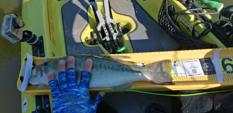 Fish Measure Picture