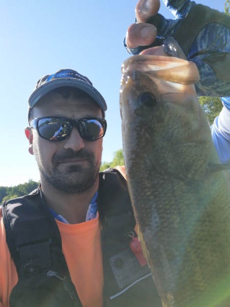 Fish Profile Picture