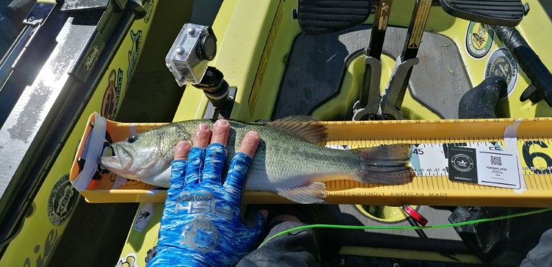 Fish Measure Picture