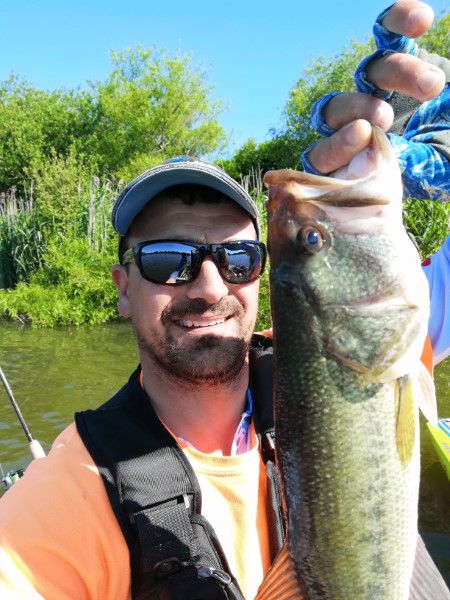 Fish Profile Picture