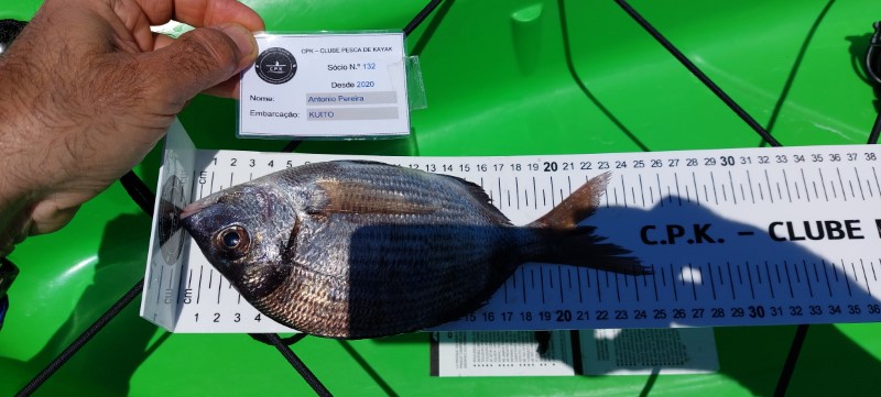 Fish Measure Picture