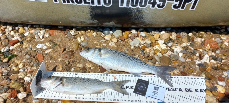 Fish Measure Picture