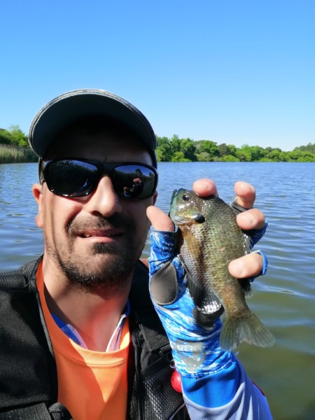 Fish Profile Picture