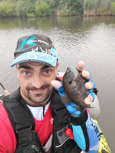Fish Profile Picture