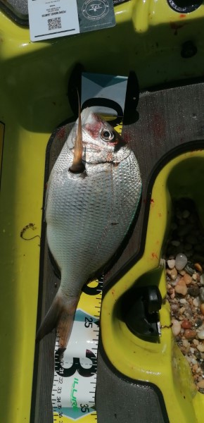 Fish Measure Picture