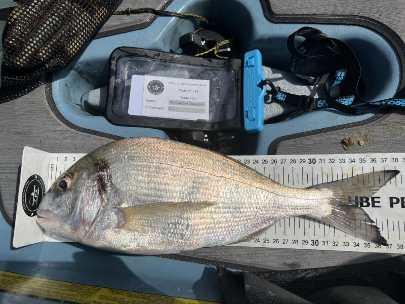 Fish Measure Picture