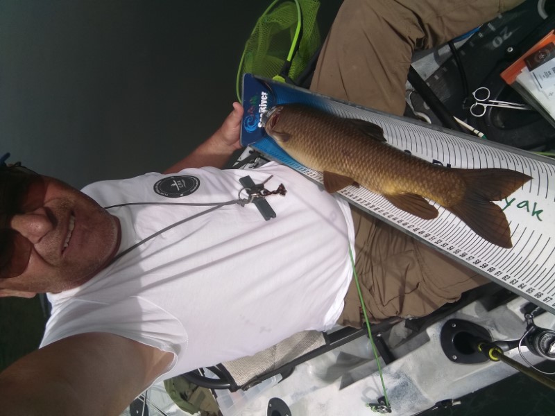 Fish Profile Picture