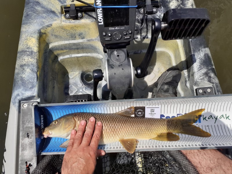 Fish Measure Picture