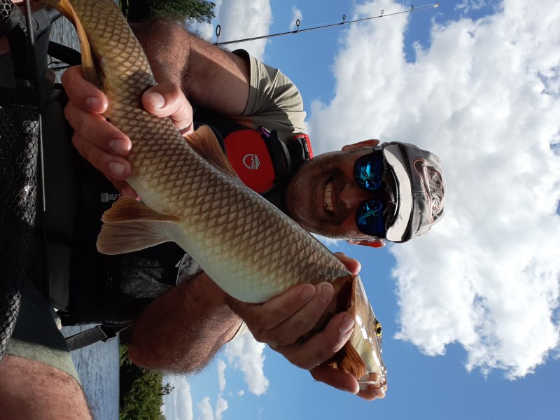 Fish Profile Picture