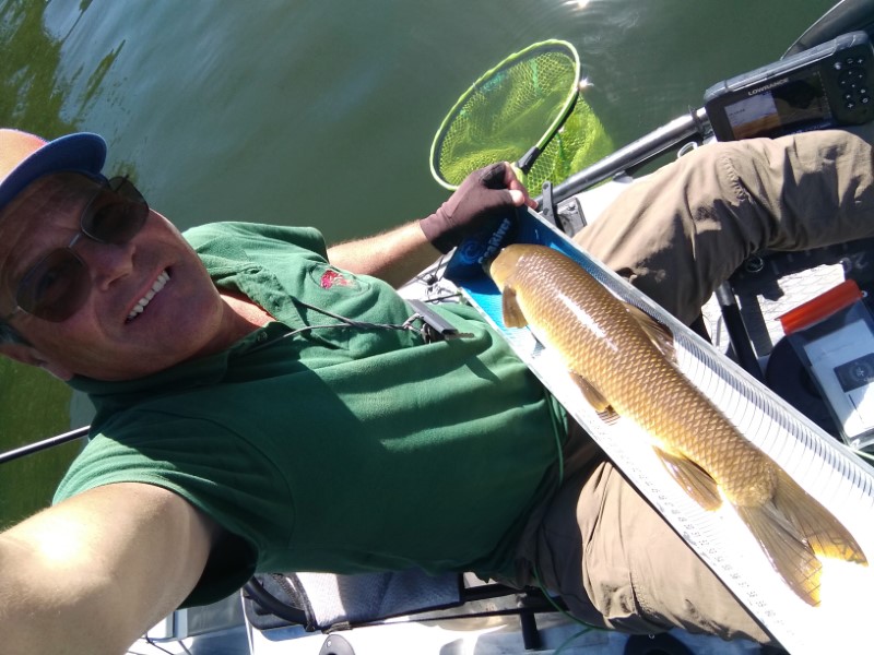 Fish Profile Picture