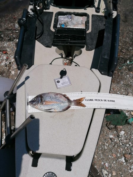 Fish Measure Picture