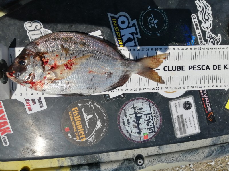 Fish Measure Picture