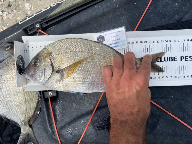 Fish Measure Picture