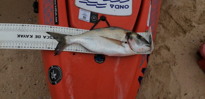 Fish Measure Picture