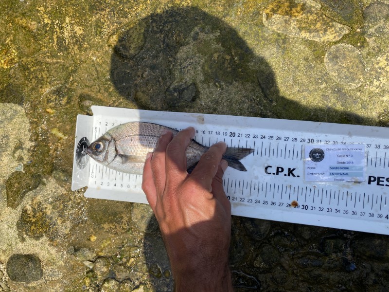 Fish Measure Picture