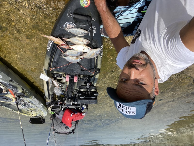 Fish Profile Picture