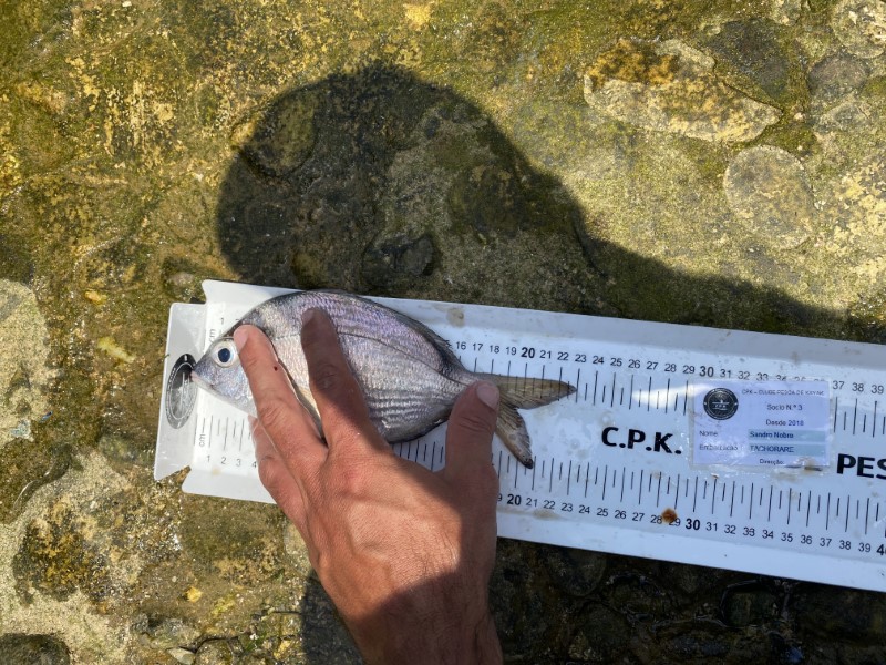Fish Measure Picture