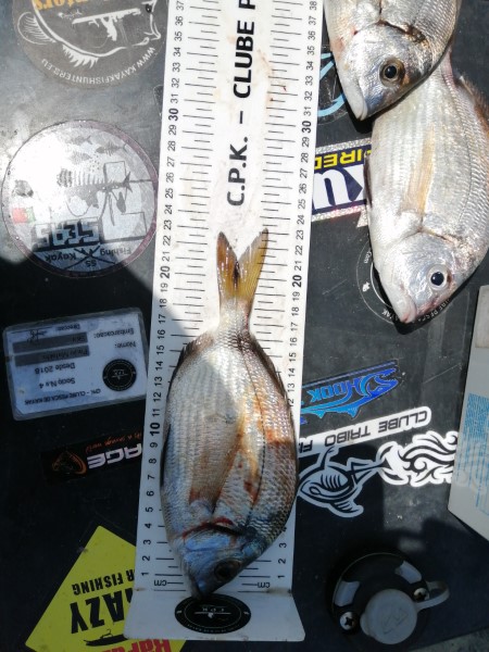 Fish Measure Picture