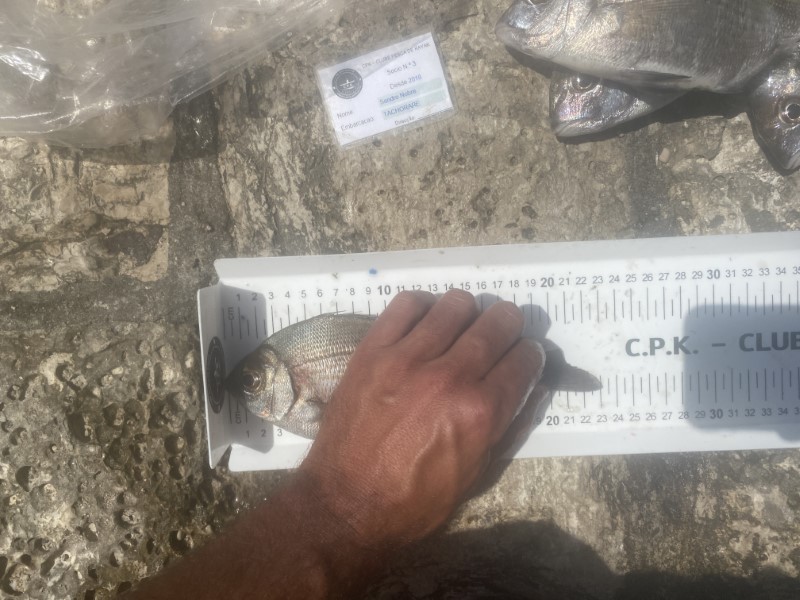Fish Measure Picture