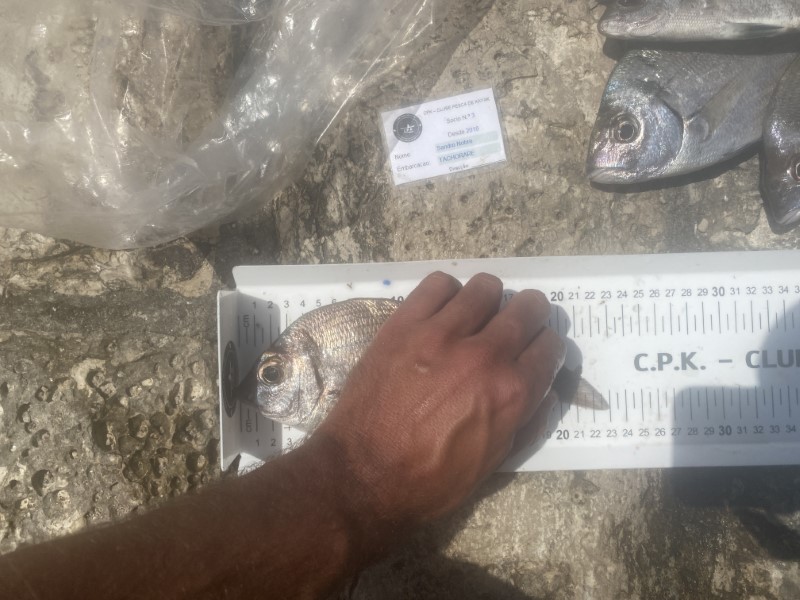 Fish Measure Picture