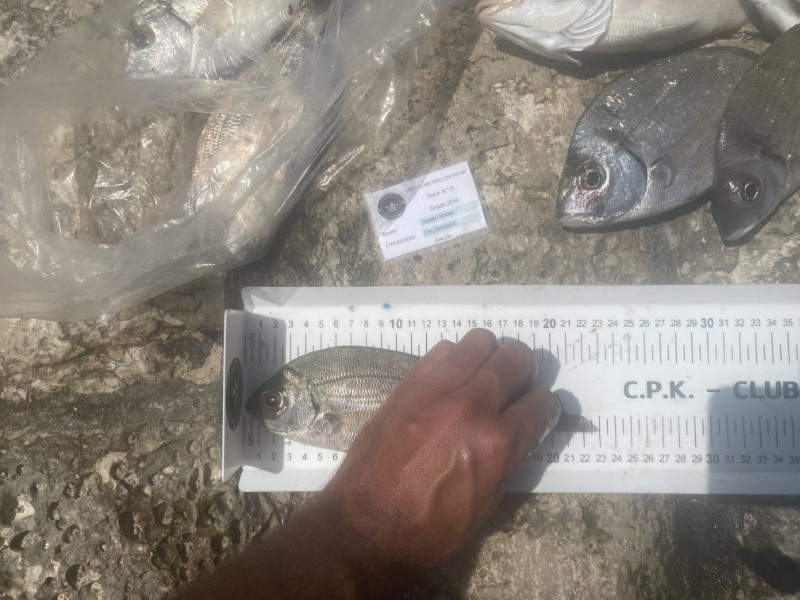Fish Measure Picture