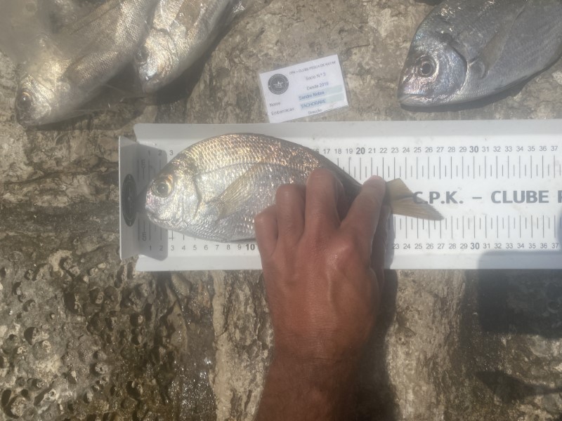 Fish Measure Picture