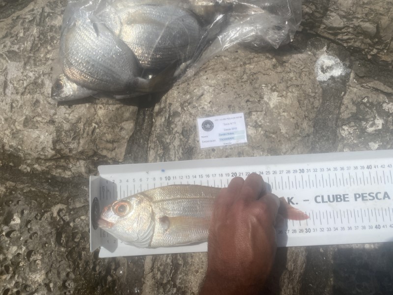 Fish Measure Picture