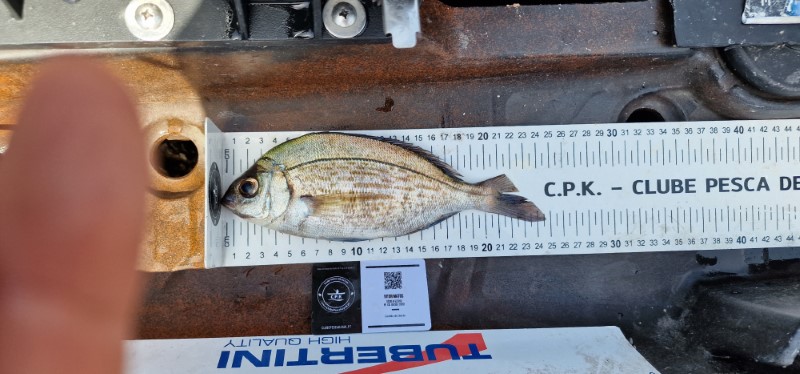 Fish Measure Picture