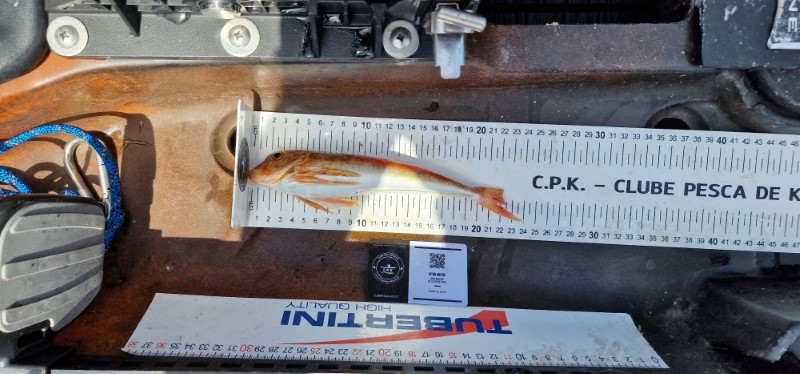 Fish Measure Picture