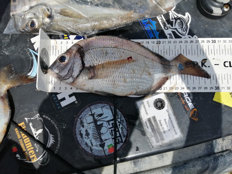 Fish Measure Picture