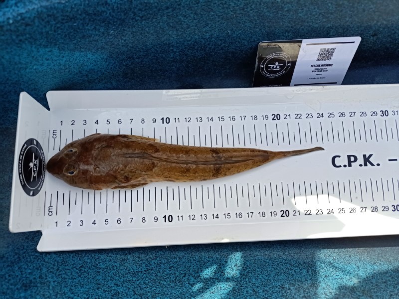 Fish Measure Picture
