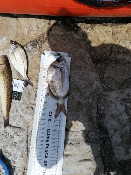 Fish Measure Picture