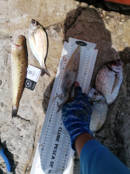 Fish Measure Picture