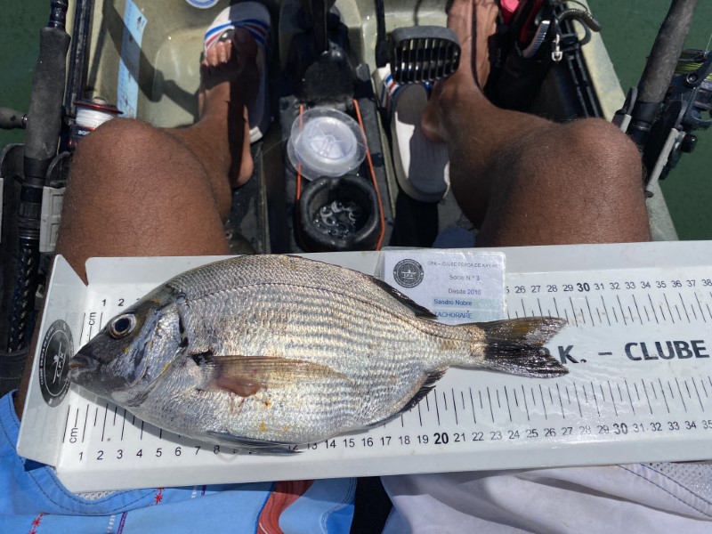 Fish Measure Picture