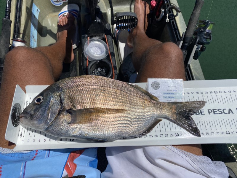 Fish Measure Picture