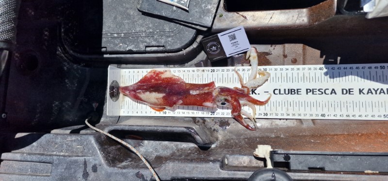 Fish Measure Picture