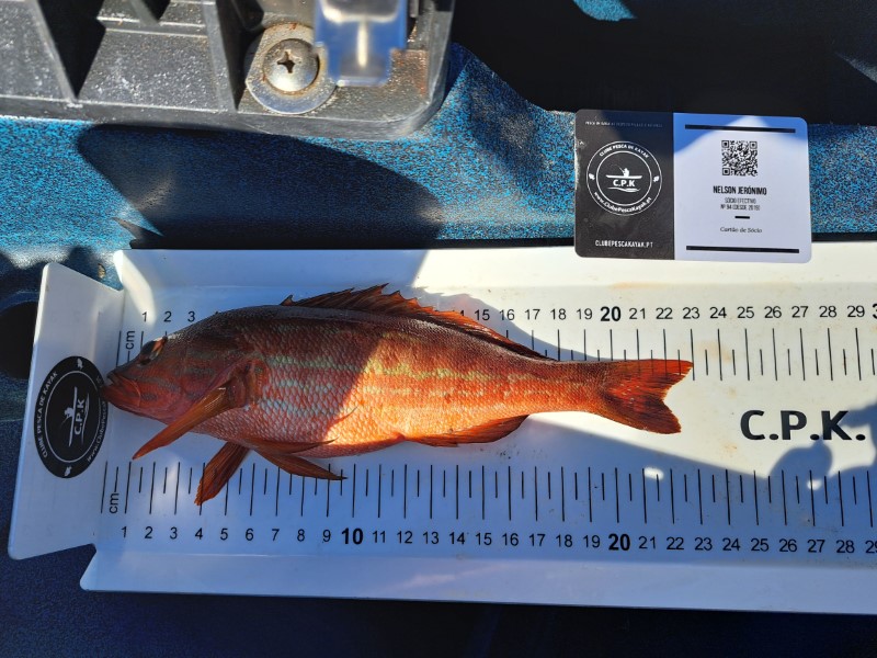 Fish Measure Picture