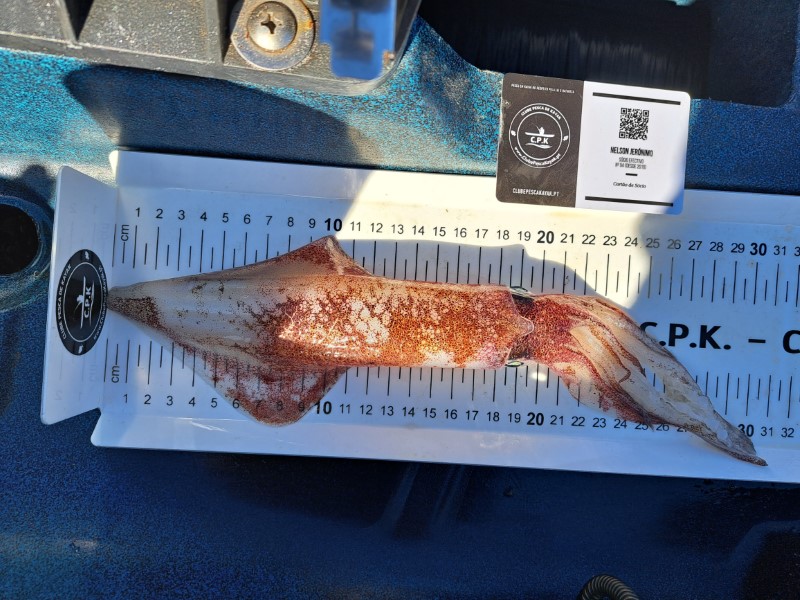 Fish Measure Picture