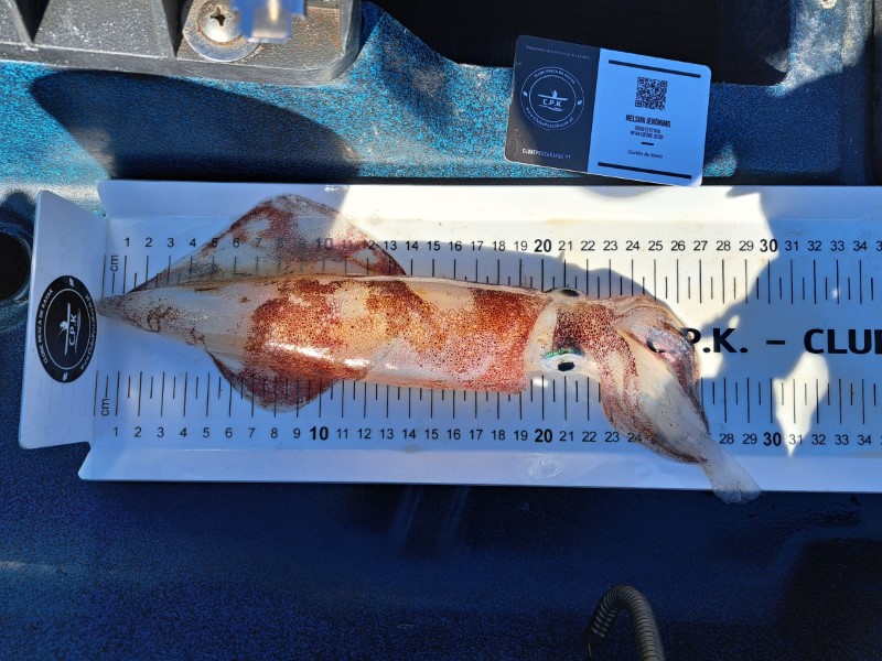 Fish Measure Picture