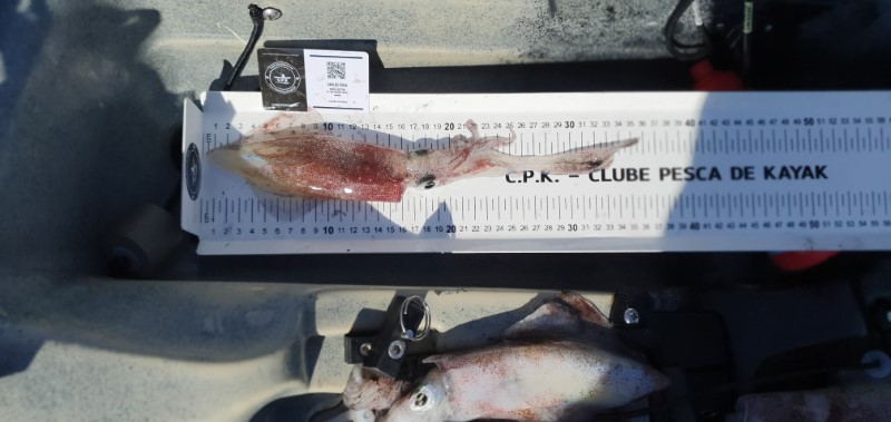 Fish Measure Picture