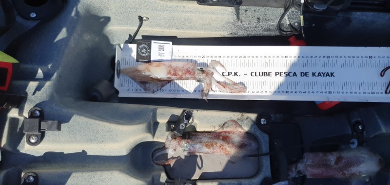 Fish Measure Picture