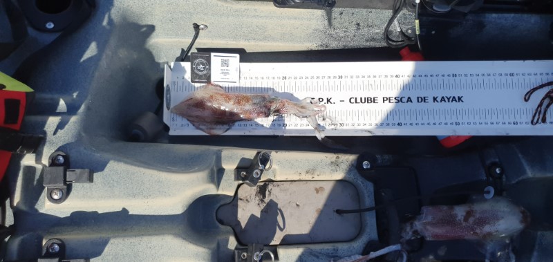 Fish Measure Picture