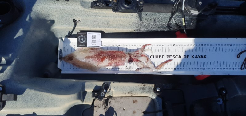 Fish Measure Picture
