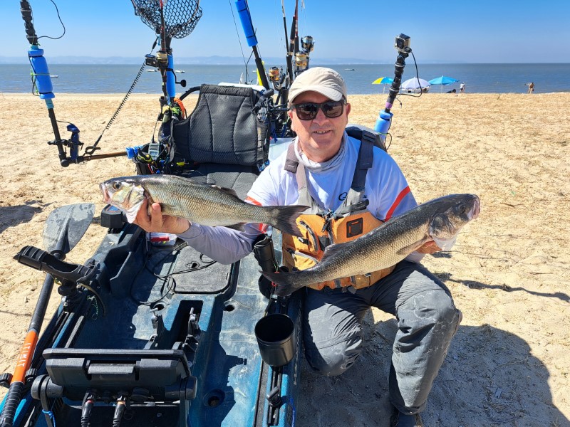 Fish Profile Picture