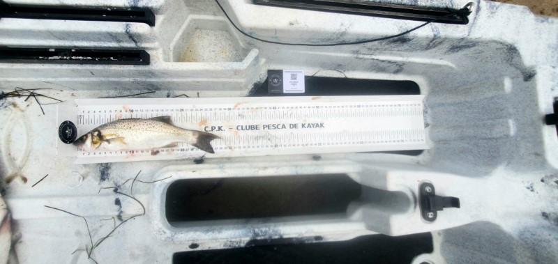 Fish Measure Picture